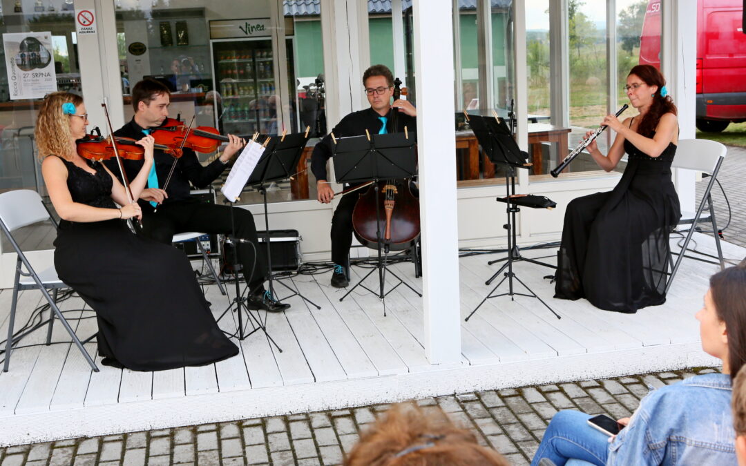 Fotografie z koncertu Riccio quartetta v Hájích